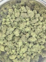 Gelato Float (Small Buds)
