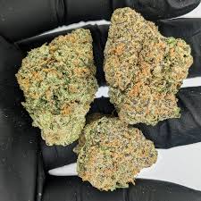 Divine Banana