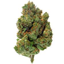 Chocolate Diesel> 21% THC> Sativa>