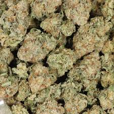 Alien Spacecraft | 29.01% THCa | Hybrid | 3.5g