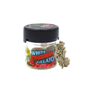 White Cherry Gelato | 3.5g