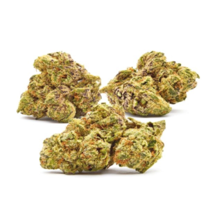 Rainbow Belts Sativa
