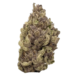 Lifted Leaf Exotic