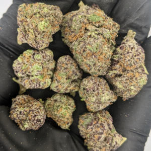 Purple Push Pop