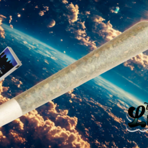 Lifted Sticks | Jack Herer | 1g | 6ct | Sativa