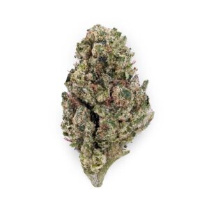Gorilla Glue