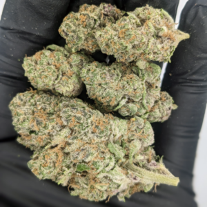 Tropicana Cookies | 25.34% | Exotic Flower | 3.5g