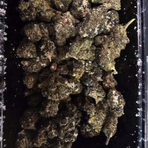 Diamond Infused