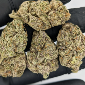 Blue Sherbet | Exotic | Hybrid | 31.71% THC | 3.5g