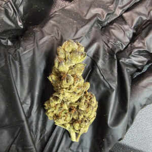 Lemon Cherry Gelato