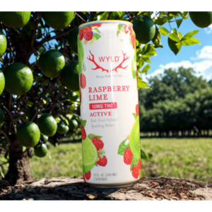 WYLD Hemp - Sparkling Water 10mg | Raspberry Lime | Single