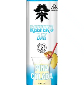 Delta 9 THC Chillixer | Pina Colada | 5mg | Single Can
