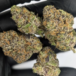 Animal Cocktail | 31.55% THC | Hybrid | 3.5g