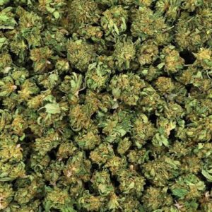 Runtz | Value | Sativa | 22%THC | 1g